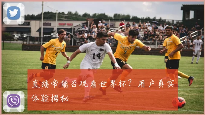 直播帝能否观看世界杯？用户真实体验揭秘