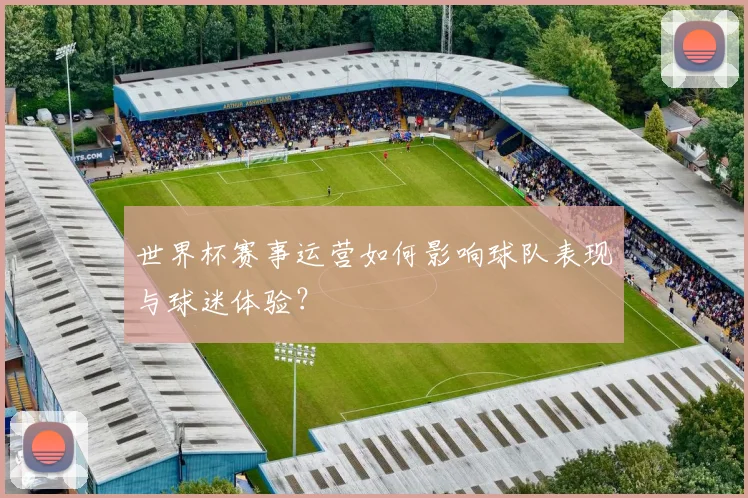 世界杯赛事运营如何影响球队表现与球迷体验？